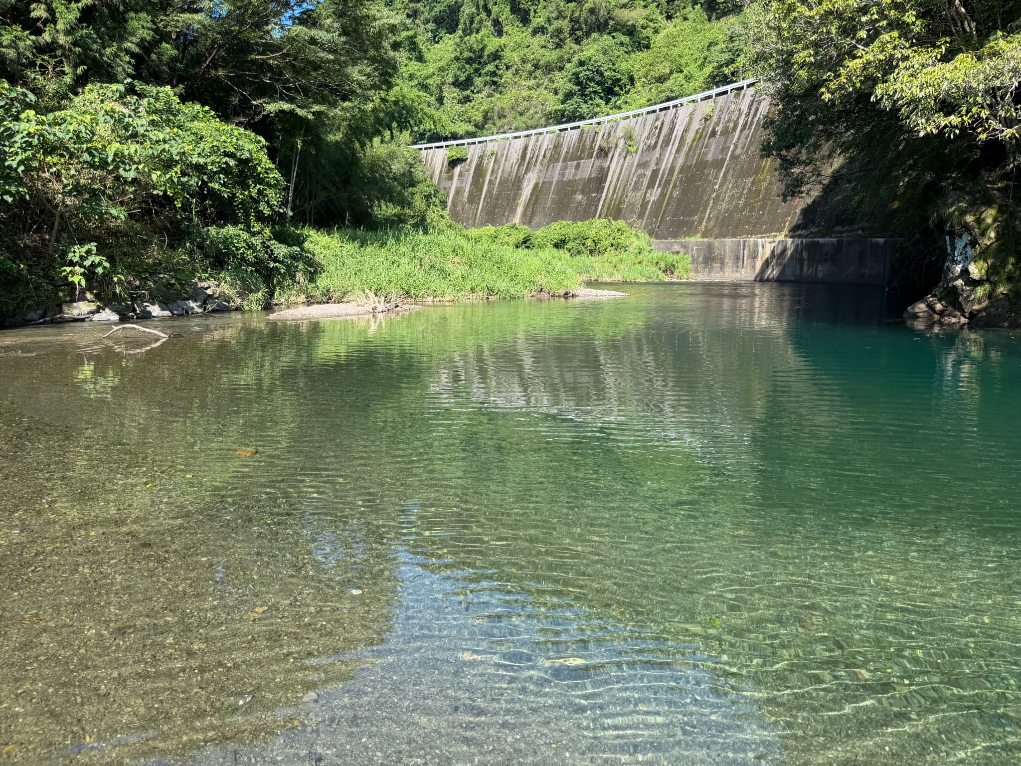 桑ノ川わんぱく河川プール